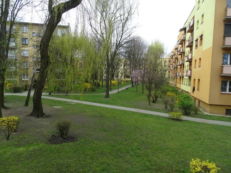 Zdjęcie 16