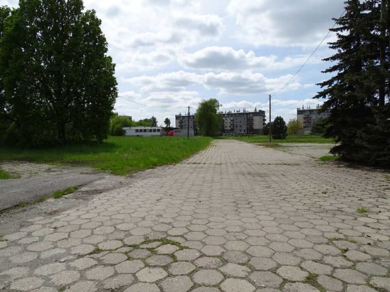 Zdjęcie 15