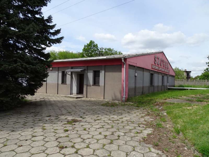 Zdjęcie 13