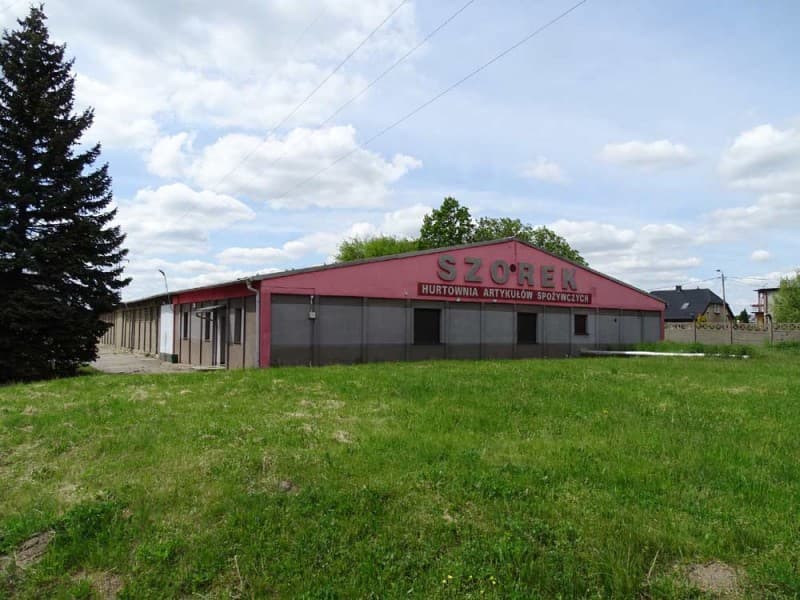 Zdjęcie 14