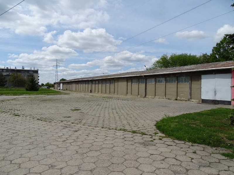 Zdjęcie 16