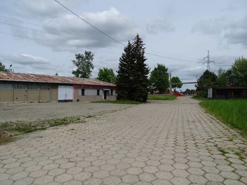 Zdjęcie 17