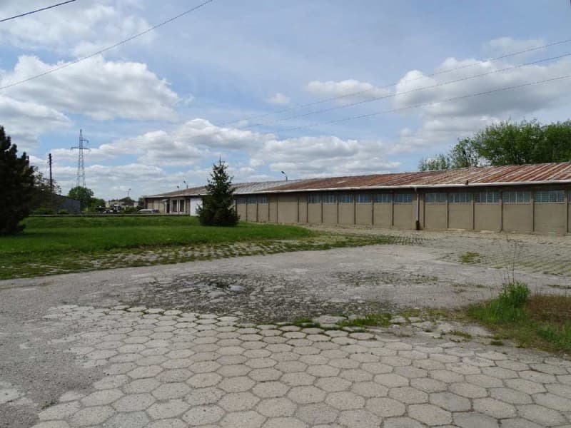 Zdjęcie 19