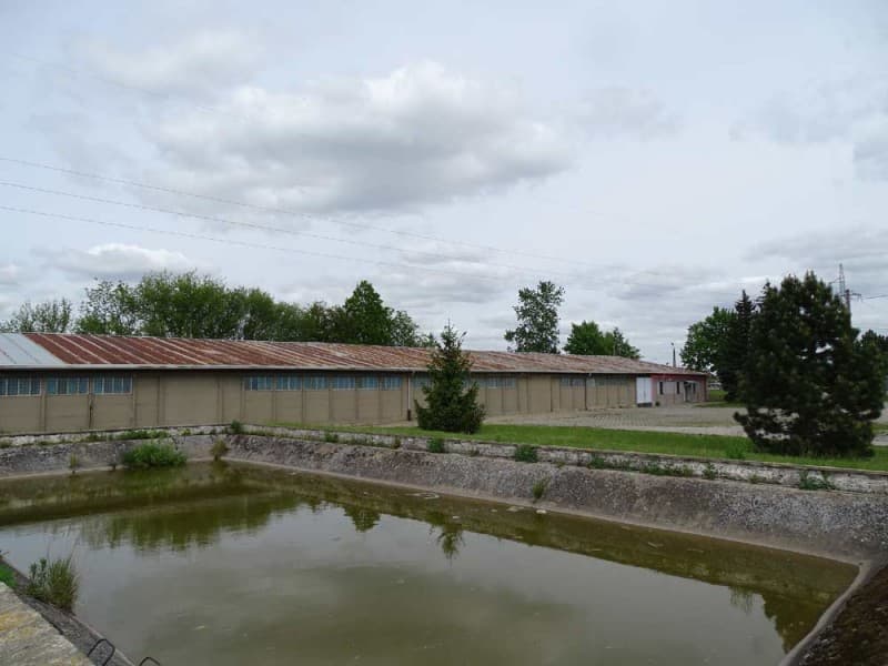 Zdjęcie 21