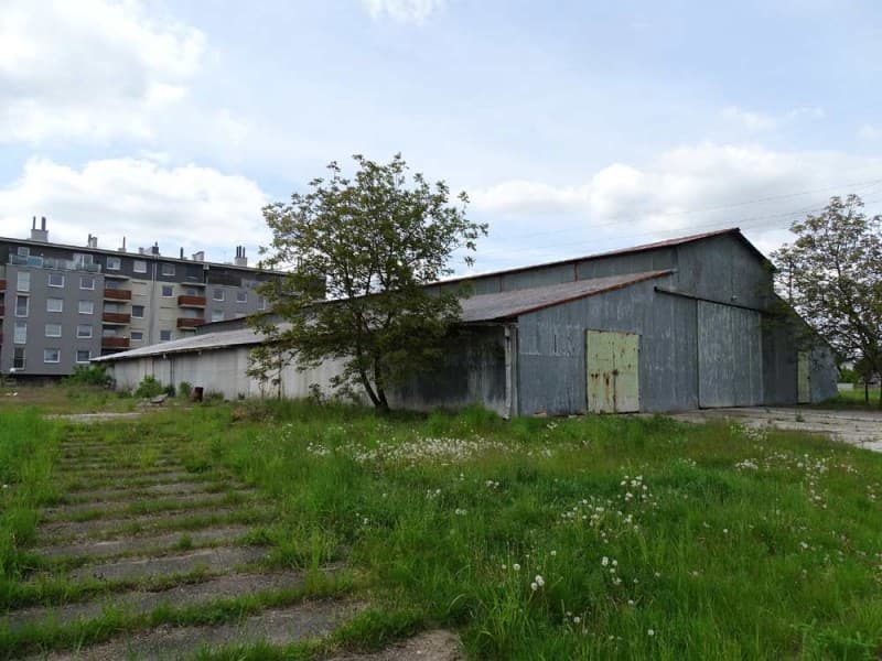 Zdjęcie 24