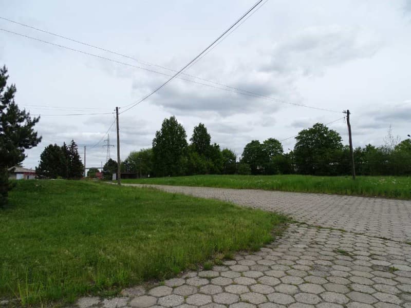 Zdjęcie 23