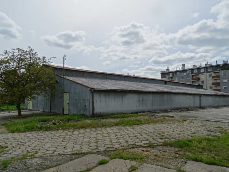 Zdjęcie 26