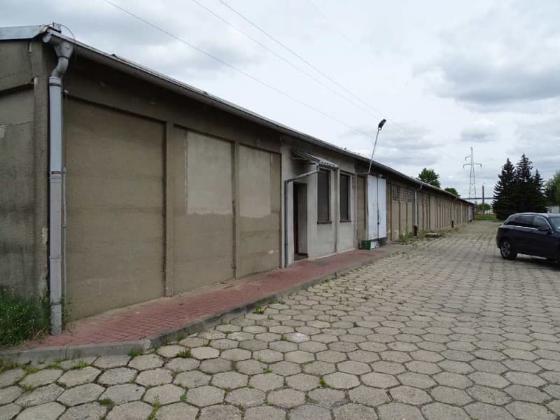 Zdjęcie 25
