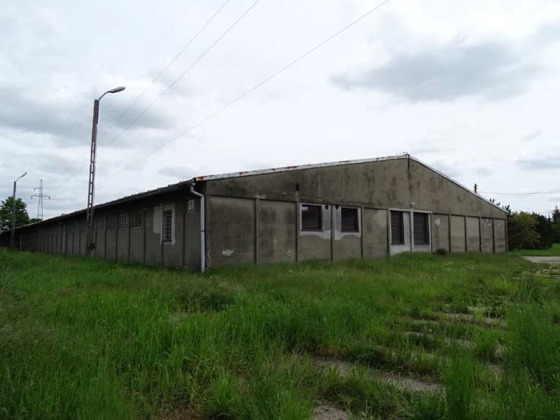 Zdjęcie 28