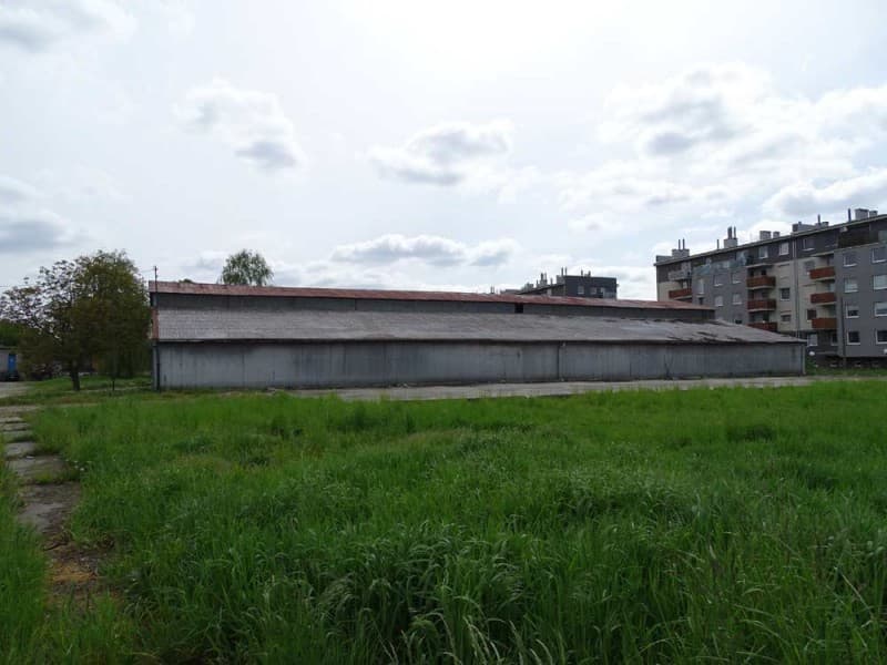 Zdjęcie 29