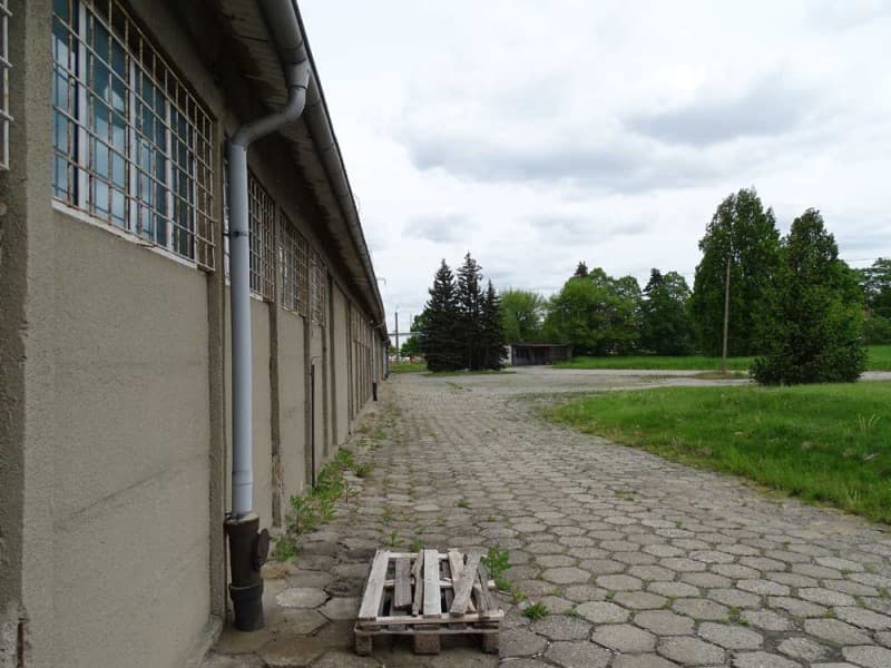 Zdjęcie 35
