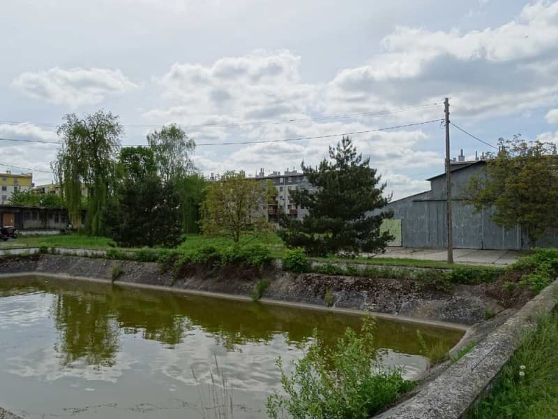 Zdjęcie 37