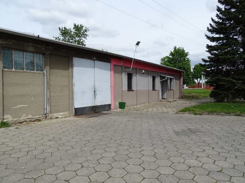 Zdjęcie 38