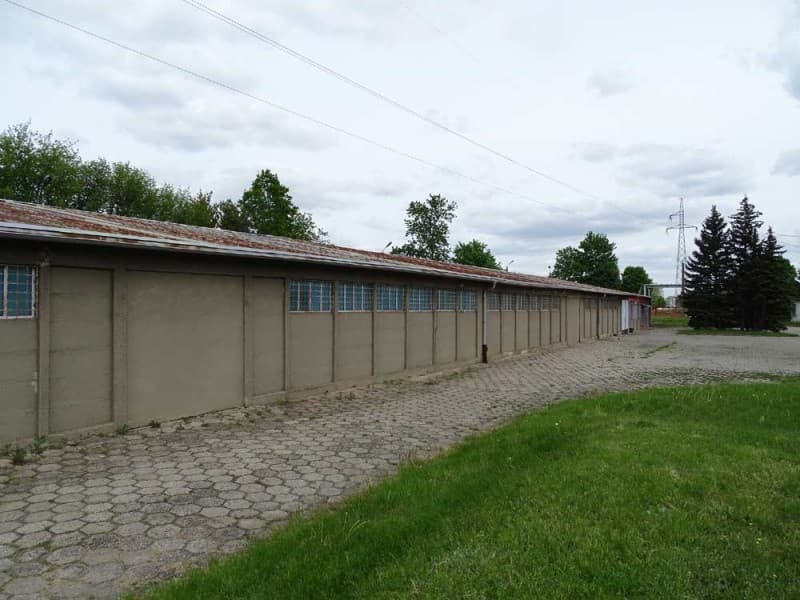 Zdjęcie 36