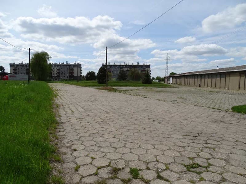Zdjęcie 43
