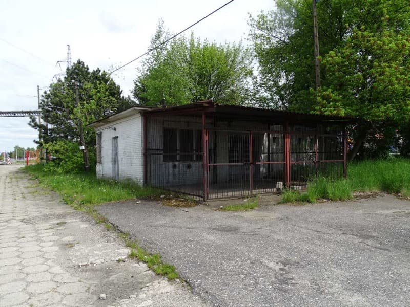 Zdjęcie 40