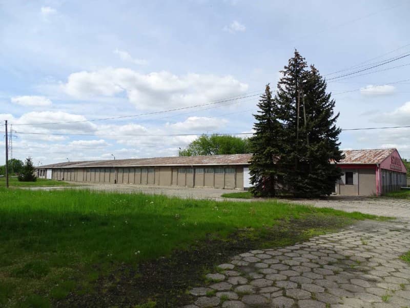 Zdjęcie 39