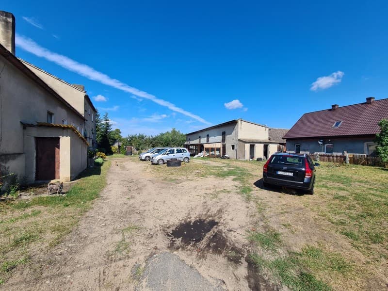 Zdjęcie 12
