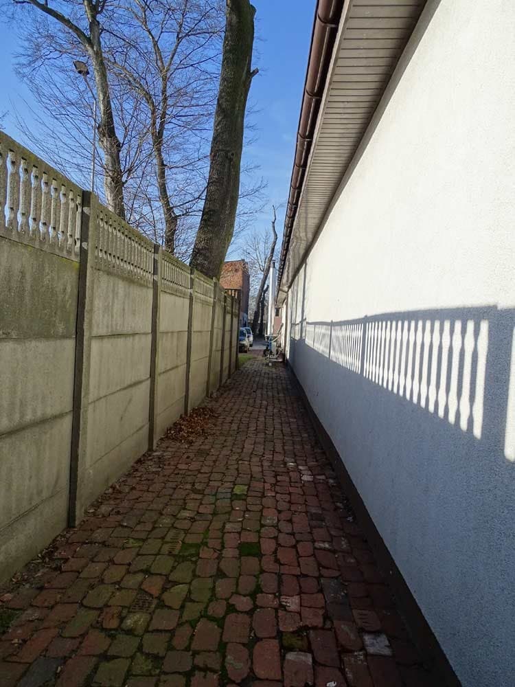 Zdjęcie 12
