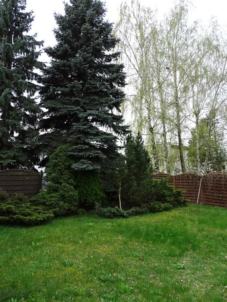 Zdjęcie 35