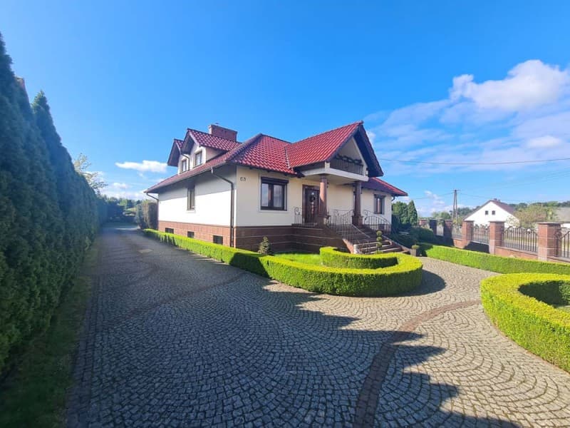 Zdjęcie 26