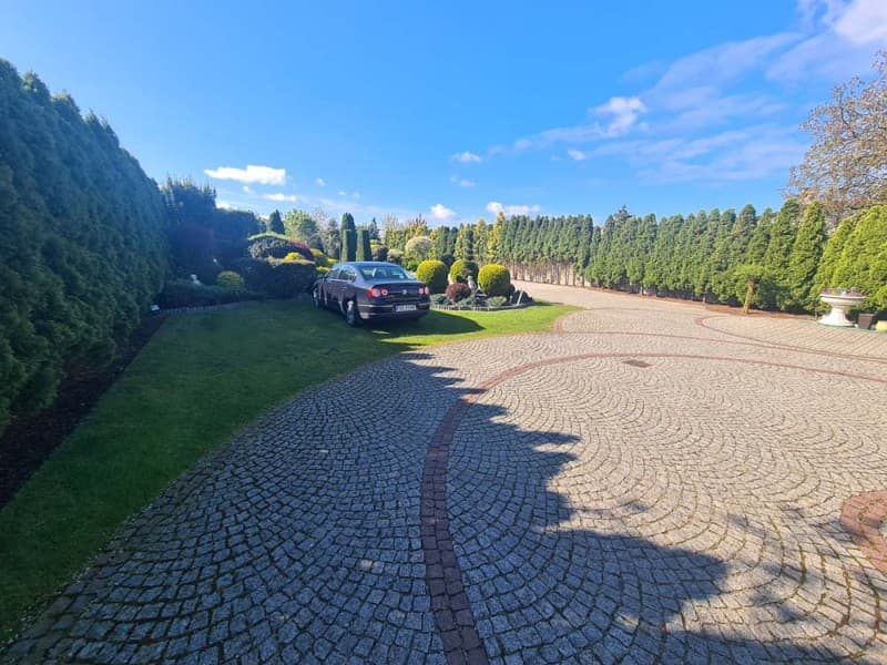 Zdjęcie 30