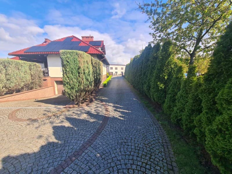 Zdjęcie 40