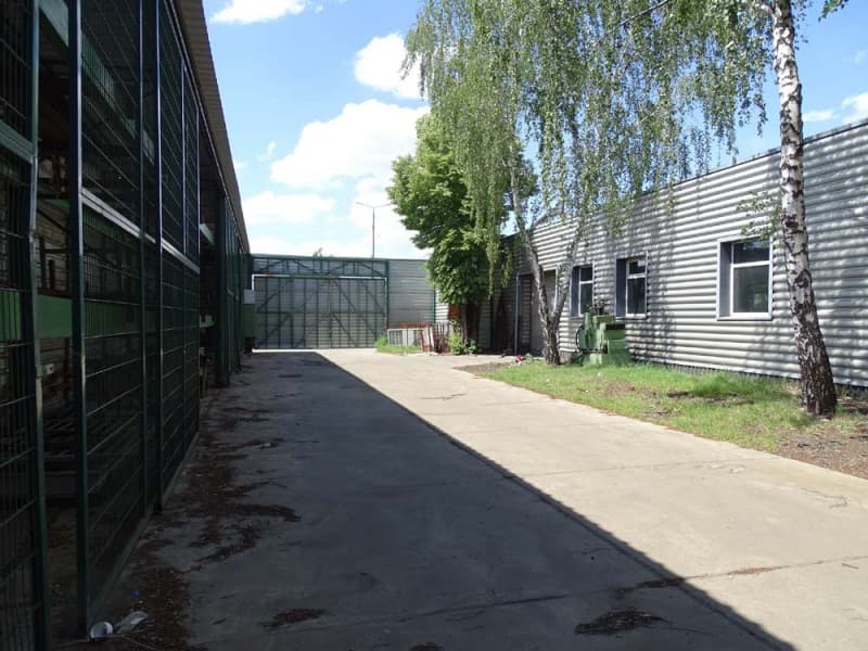 Zdjęcie 29