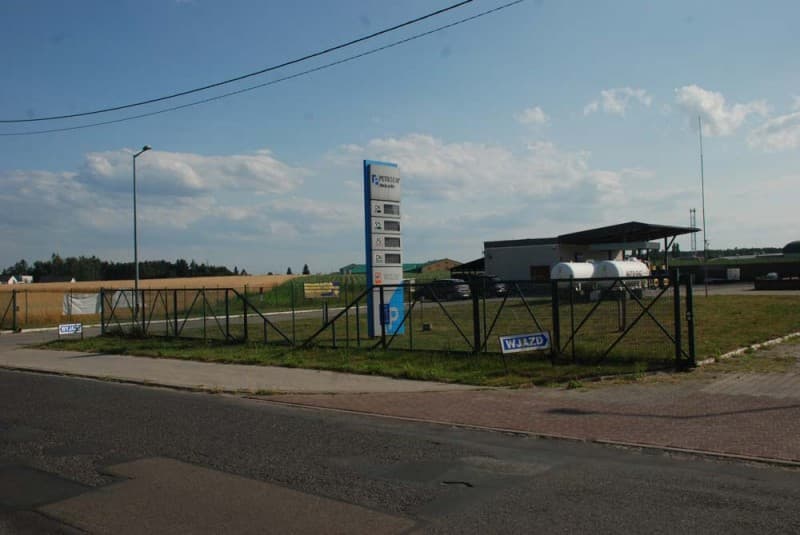 Zdjęcie 8