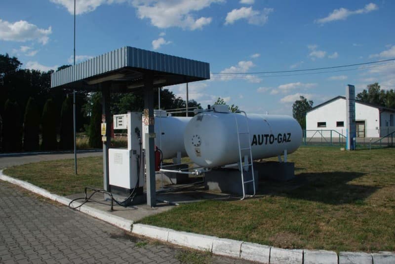 Zdjęcie 6