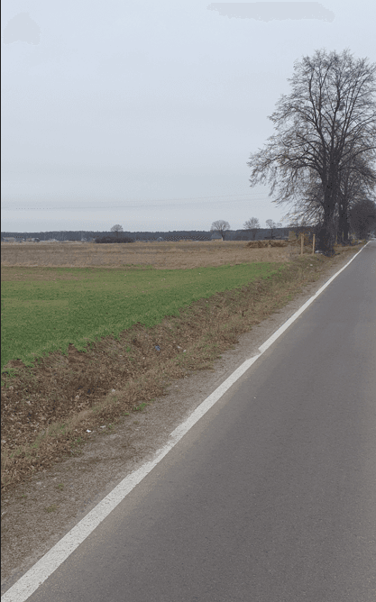 Zdjęcie 5
