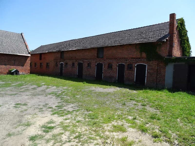 Zdjęcie 21