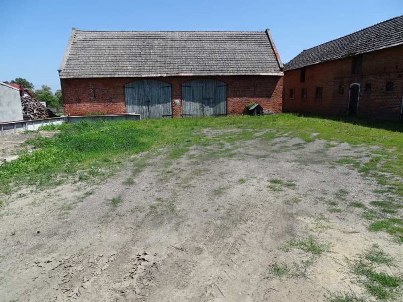 Zdjęcie 20
