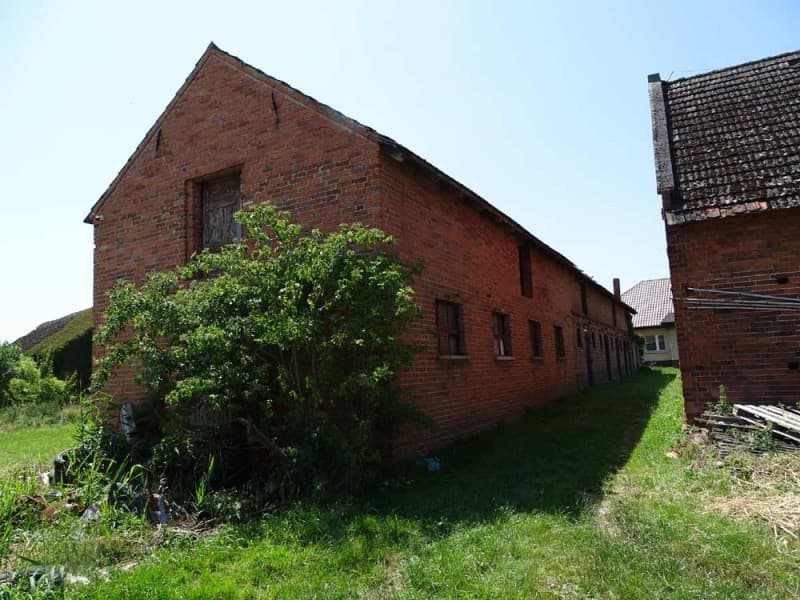 Zdjęcie 23