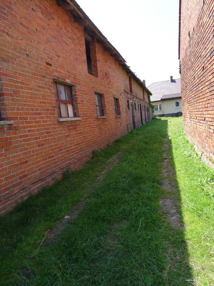 Zdjęcie 22