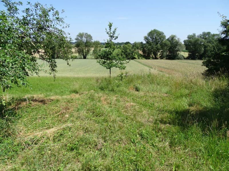 Zdjęcie 25