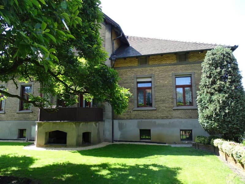 Zdjęcie 10