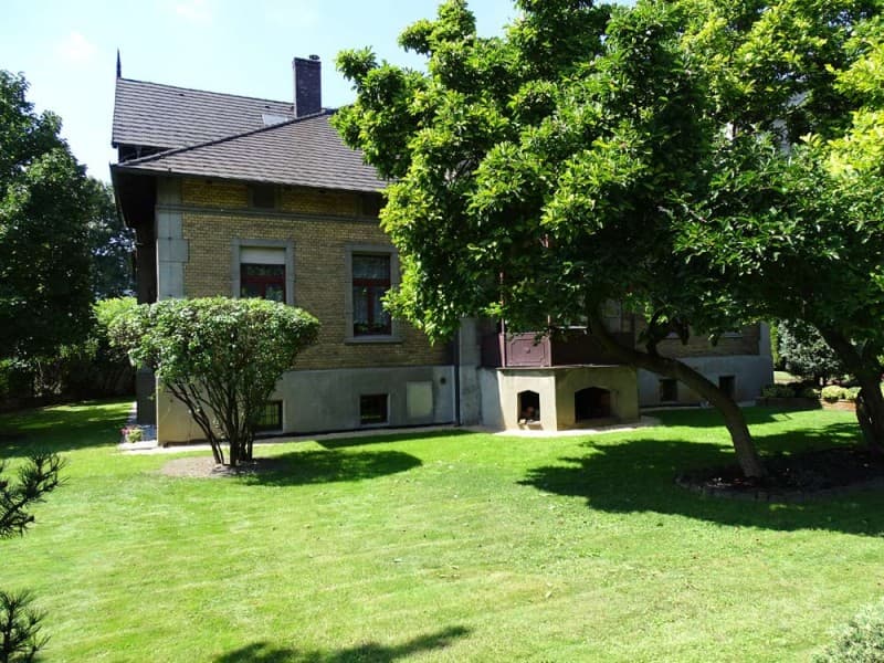 Zdjęcie 12