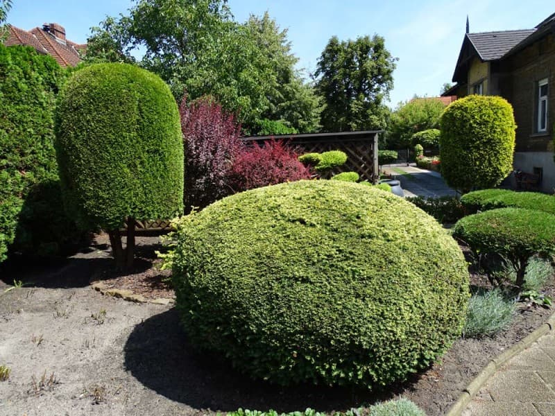 Zdjęcie 18