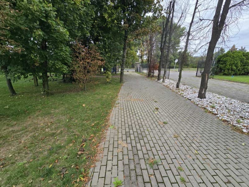 Zdjęcie 10