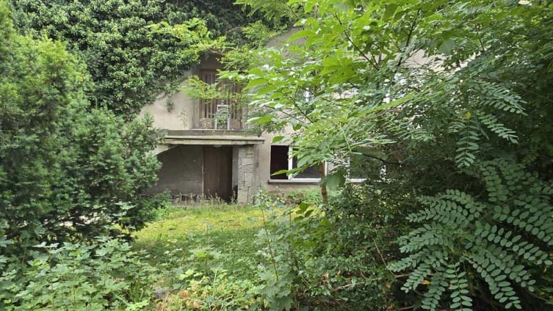 Zdjęcie 12