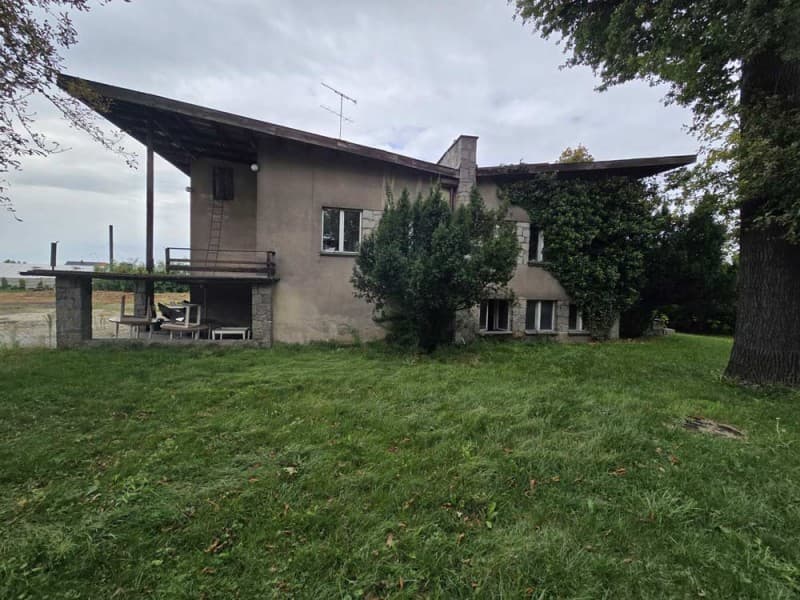 Zdjęcie 8