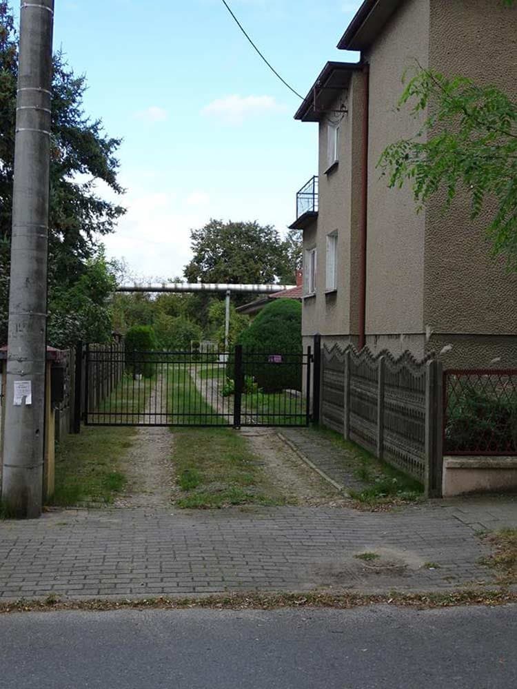Zdjęcie 30