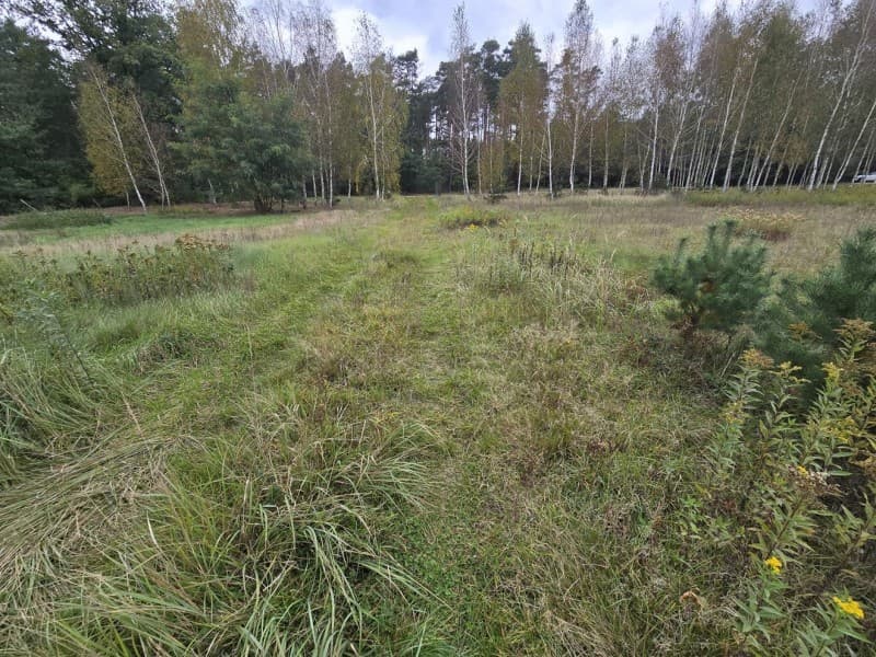 Zdjęcie 11