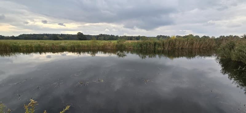 Zdjęcie 13
