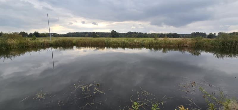 Zdjęcie 14