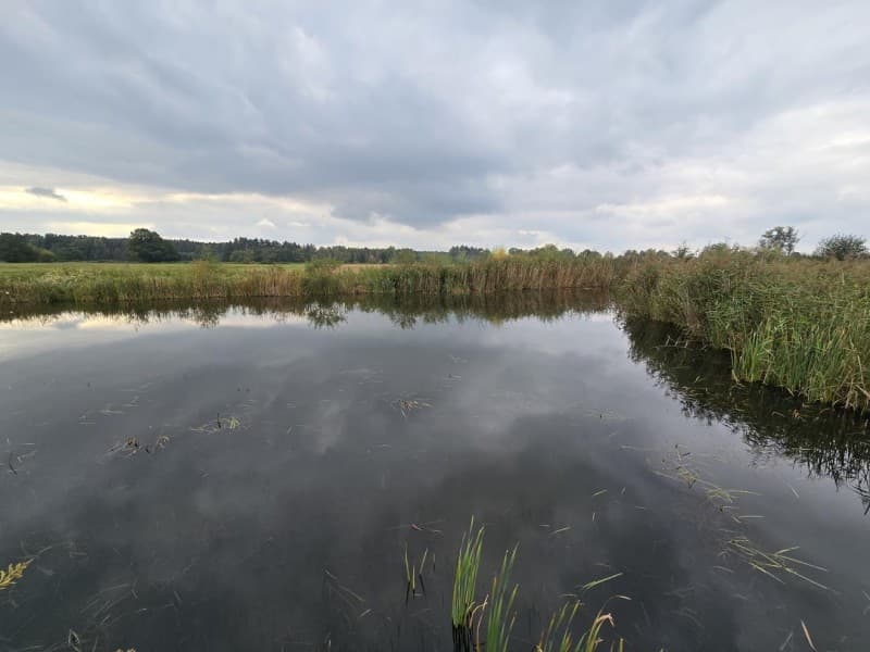 Zdjęcie 16