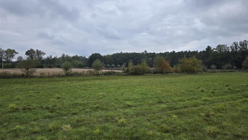 Zdjęcie 19