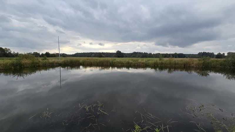 Zdjęcie 15