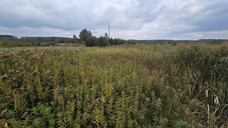 Zdjęcie 17